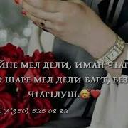 Дала Декъала Йойла