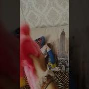 Ты Собрался А Что Ты Так Наделся