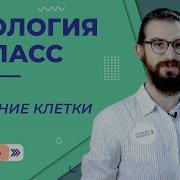 Биология 5 Класс Параграф 7