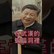 习近平的两把刷子
