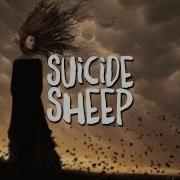 Suicide Remix Tik Tok