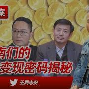 王局拍案司马南