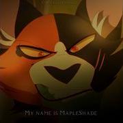 Mapleshade Warrior S Cats Edit
