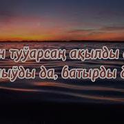 Maxset O Temuratov Izleymen Seni