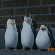 The Penguins Of Madagascar Behind The Mask