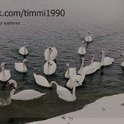 Кубалар Караоке