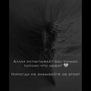 Нашид Дунья С Музыкой