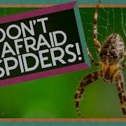 Don T Be Afraid
