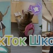 Популярные Песни В Tik Tok Musical Ly