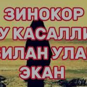 Зинокор Аёллар
