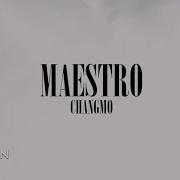 창모 Maestro