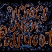 What S New Pussycat 1965 Opening Title