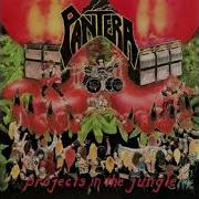 Projects In The Jungle Pantera