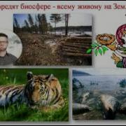 Телоп Монит Все Спасайся Как Можешь