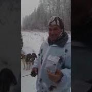 Татары Блять Татары
