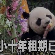 熊猫直播 小艾特Baby 2018 01 04 录像