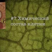 Биология Пасечник Пятый Класс Параграф Семь Описание Результатов Исследования