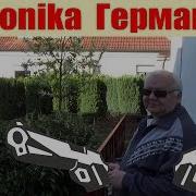 Сказка Постучалась В Дрвери