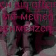 Du Hast Mir Weh Getan Remix