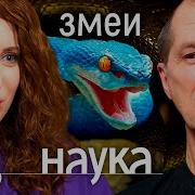 Змеиная Любовь