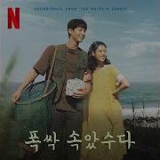 폭싹 속았수다 To The Land Of Hope 희망의 나라로 Inst