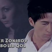 Alisher Zokirov Dost Bolib Qol