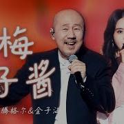 腾格尔 乌梅子酱