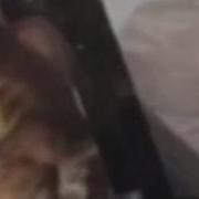 Видео Секса Алексей Панин С Женой Голые Фото