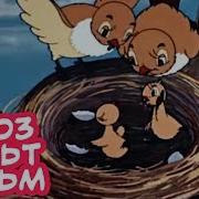 Кукушка И Скворец
