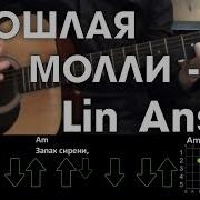 Пошлая Молли Lin Ansty Разбор Песни Аккорды И Бой Без Баррэ
