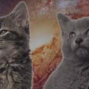 Космические Котята 10 Часов