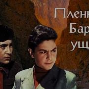 Пленики Барсова Ущелья