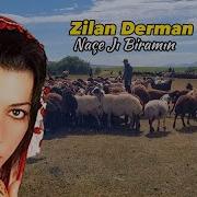 Zilan Derman Nace Ji Biramin