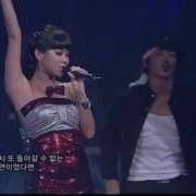 타이푼 Typhoon 그대만