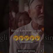 Дадам Каттик Ишладилар