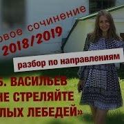 Не Стреляйте В Белых Лебедей Разбор