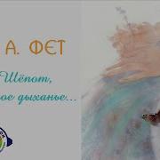 Шепоты В Библиотеке 27