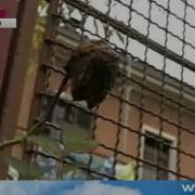 История Программы Воскресное Время На