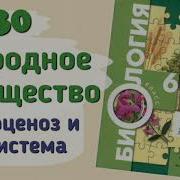 Понятие О Природном Сообществе Биогеоценозе