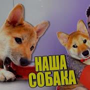 Эдисон И Катя Первое Знокомства В Майнкрафт
