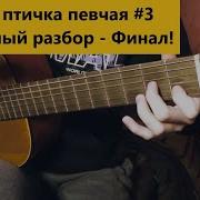 Королек Птичка Певчая На Гитаре