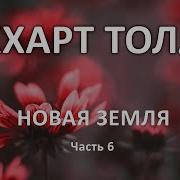 Трек Трансформа Книга 6 Пробуждение Глава 11
