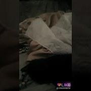 Кошка Чё Тебе Тут Надо Дай Пожрать Немножка