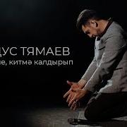 Ач Кузенне Китмэ Калдырып Фирдус Тямаев
