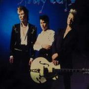 Please Don T Touch Live Stray Cats