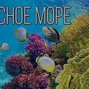 Про Красное Море Песня