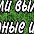 КАКИЕ ЗВУКИ ИЗДАВАЛИ ВЫМЕРШИЕ ЖИВОТНЫЕ И КОГДА ОНИ ИСЧЕЗЛИ УМЕРЛИ часть 1 EXTINCT ANIMALS