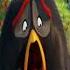 Как звезды озвучивают мультфильмы Angry Birds актеры дубляжа