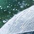 Sakitləşdirici Yağış Səsi Relaxing Sound Of Rain