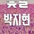 TJ노래방 꽃길 박지현 TJ Karaoke
